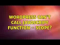 Wordpress Can t call Javascript function - scope