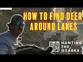How To Find Deer On Public Land Around Lakes