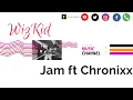 Download Lagu Wizkid - Jam ft Chronixx (Music Video)