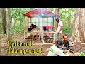 berkemah dengan membangun pondok di hutan jawa timur#survival 
