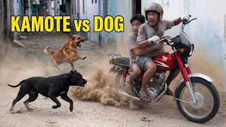 KAMOTE VS GUARD DOG