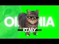 Download Lagu OIIA OIIA Spinning Cat - (NOEGH 404 Remix)