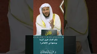 حكم اقتناء طيور الزينة بوضعها في الأقفاص عزيز فرحان العنزي 
