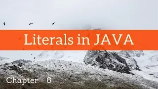 Literals in JAVA Chapter - 8