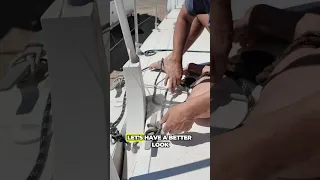 Close inspection  #aluminum