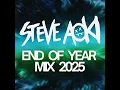 Lagu Steve Aoki End of Year Mix 2025