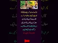 The Harsh Reality of Pakistan Politics Imran Riaz Khan Powerful Quote UFB Spark