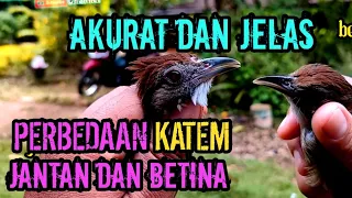 the difference between male and female shooting cotton is clear and accurate shootingcotton sho 