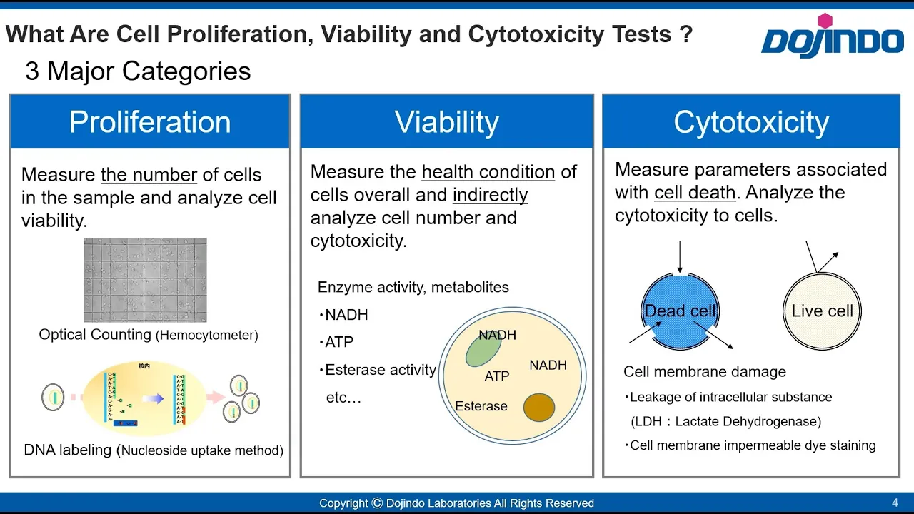 Seminar for Cell Proliferation Cell Viability Cytotoxicity Dojindo