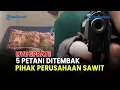 🔵KONFLIK SAWIT MEMANAS! WARGA VS PIHAK PERUSAHAAN SAWIT, LIMA PETANI JADI KORBAN