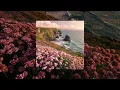 Download Lagu Idealism - Nagashi X When Marnie Was There