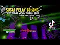 Download Lagu DJ SUCAT PELAY BOHONG X TIPAT TIPAT VIRAL TIKTOK 2022