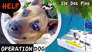 OPERATION DOG – Ile des Pins – Sailing New Caledonia