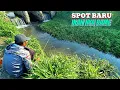 Download Lagu Mancing Di Sungai pinggir Sawah Menggunakan Umpan Lumut sawah Halus