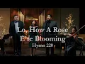Download Lagu Lo, How a Rose E’re Blooming (Hymn 220) - Hymnology (Official Video)