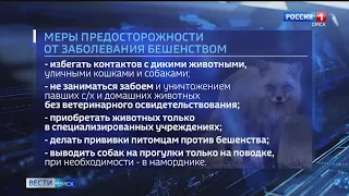 Впервые за 19 лет в Омской области умер мужчина от бешенства