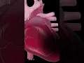Download Lagu Heart Attack Explained (Animation)