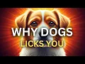 Why Everything In Tamil The Surprising Truth UnToldAnimalsTamil