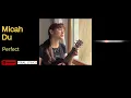 PERFECT - Ed Sheeran (Ukulele Cover by Micah Du | VIRAL LYRICS)