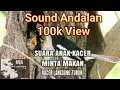 Download Lagu ANAK KACER DALAM SARANG PANGGIL INDUK MINTA MAKAN
