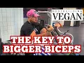 Preacher Curls 101 How to Grow your Biceps with MACHINE Preacher Curls TheBodyBuildingVegan