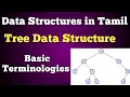 Tree Data Structures in Tamil Basic Terminologies Conquer Victory