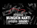 Download Lagu Peterpan - Mungkin Nanti - Karaoke New Version