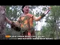 Download Lagu Kodok demen wulan#Hj dunia wati