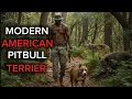 Modern Uses For The American Pitbull Terrier Andre Williams Of Samurai Kennels