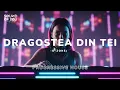 O-ZONE DRAGOSTEA DIN TEI REMIX PROGRESSIVE HOUSE (MAIHI MAIAHU MAIAHO MAIAHAHA)