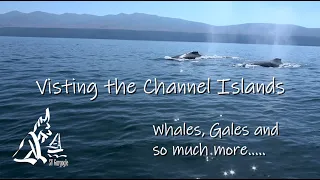 Sailing California’s Channel Islands Ep. 5