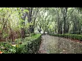 Download Lagu Regengeluiden voor wie slaap nodig heeft | Val in 3 minuten in slaap | Kalmerende ASMR