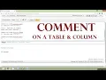 Oracle Tutorial - Add Comment on a Table and Column Remove Comment