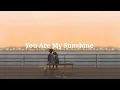Download Lagu You are my sunshine - Kina Grannis // acoustic (lyrics)