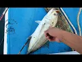 Download Lagu STRIKE IKAN GT | mancing tehnik jigging