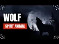 Wolf Spirit Animal A Guide to Freedom and Instinct