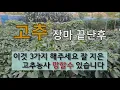 Download Lagu 고추 장마 후 이것 3가지 해주세요 잘 지은 고추 농사 망할 수 있습니다. #고추 수분 부족 #고추 칼슘 부족 #고추 병충해 방제.