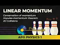 AP Physics 1 Linear Momentum and Impulse Unit 4