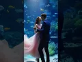 Download Lagu Submarine Palace Wedding #aiart #aicontent #ias #ai #aiart #aivideo #aishorts #aiartist #aicreator