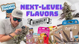 Next-level flavors Blueberry Pancakes Cupcakes Edition with The Humboldt Seed Company s Ben Lind