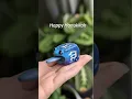 Dreidel Made of Frog