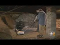 Unmarked Graves Found In New Jersey Church