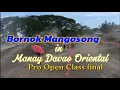 Download Lagu Bornok Mangosong in Manay Davao Oriental.Pro Open Class final