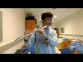 Post Malone - Circles Flute Cover
