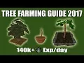 Runescape 3 Complete Tree Farming Guide 2017 140k Farming Full Tree Farming Route