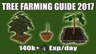 Runescape 3 Complete Tree Farming Guide 2017 140k Farming Full Tree Farming Route