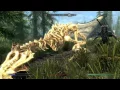 5 Must Have Potion Poison Recipe s Skyrim SE pt 2 Amazing Alchemy