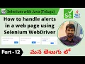 P12 - How to handle alerts in a web page using Selenium WebDriver Selenium Java
