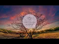 Download Lagu 25 Ibiza Summer Mix 2025 🍓 Best Of Tropical Deep house music chill out mix 🍓ⒹⒺⒺⓅ