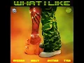 Rvssian - What I Like (Feat. Moliy, Ayetian & Tyga) (Clean)